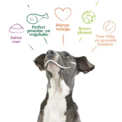 12x Yarrah Bio Hondenvoer Chunks Rund - Kip 7 12x Yarrah Bio Hondenvoer Chunks Rund - Kip -Plein Winkel 704653 4