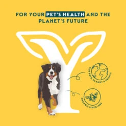 12x Yarrah Bio Hondenvoer Paté Kip 7 12x Yarrah Bio Hondenvoer Paté Kip -Plein Winkel 704654 4