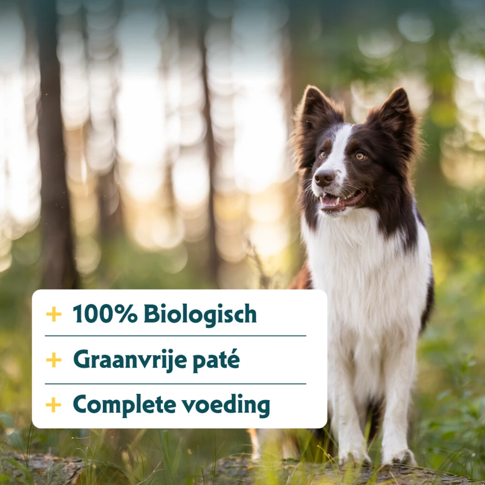 12x Yarrah Bio Hondenvoer Paté Kip - Kalkoen 4 12x Yarrah Bio Hondenvoer Paté Kip - Kalkoen - Afbeelding 4