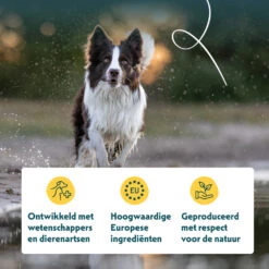 12x Yarrah Bio Chunks Vegetarisch 7 12x Yarrah Bio Chunks Vegetarisch -Plein Winkel 704657 4