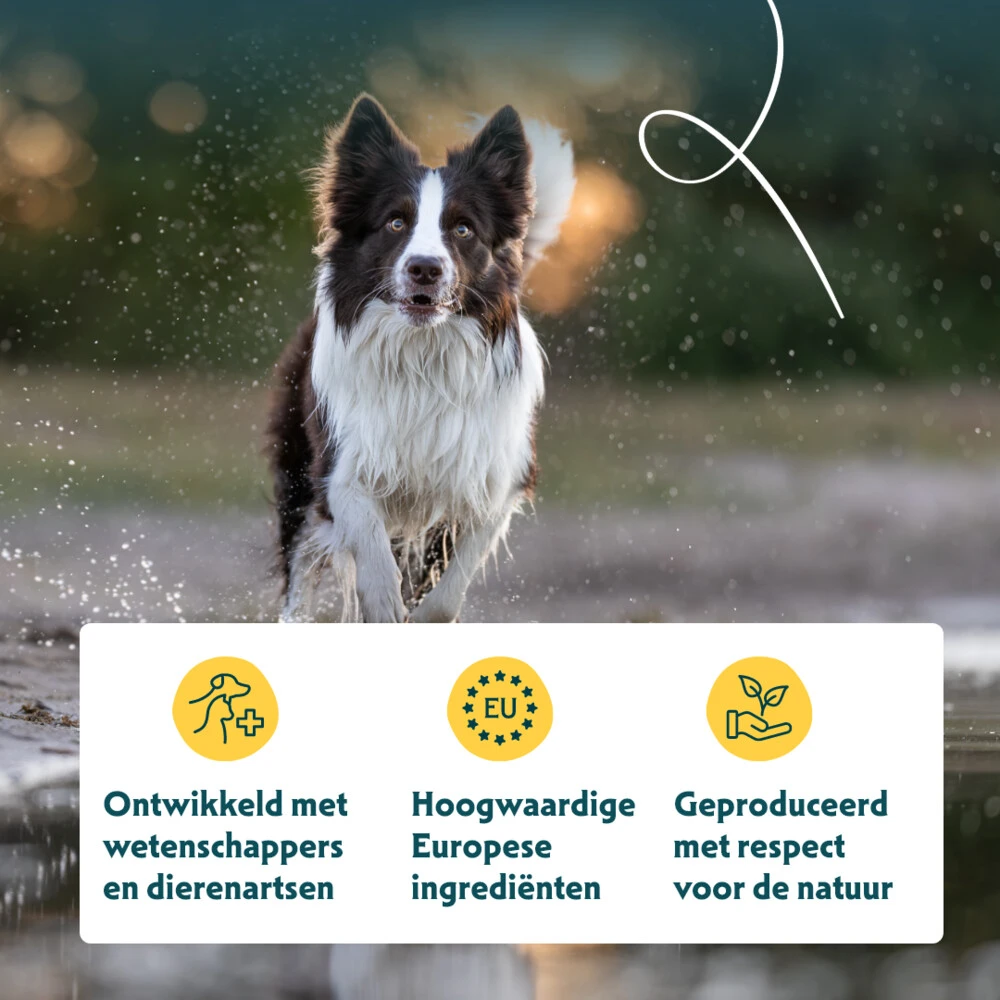 12x Yarrah Bio Chunks Vegetarisch 4 12x Yarrah Bio Chunks Vegetarisch - Afbeelding 4