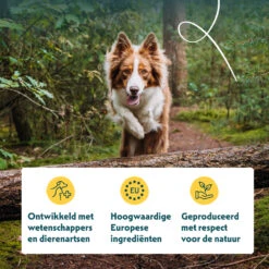 12x Yarrah Bio Hondenvoer Chunks Rund -Plein Winkel 769833 4