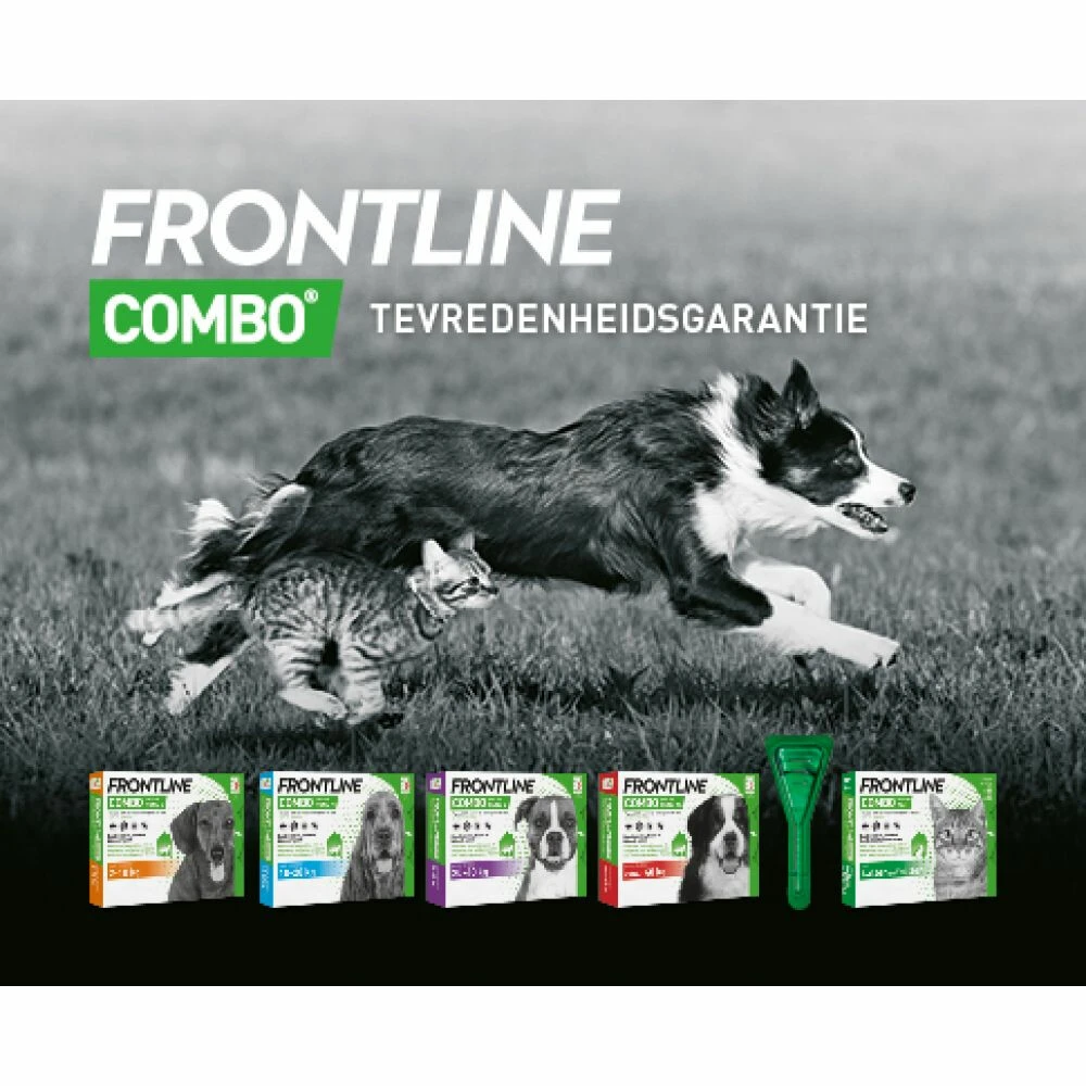 Frontline Combo Spot On Anti Vlooien En Teken Druppels Hond 20 - 40 Kg 2 Frontline Combo Spot On Anti Vlooien En Teken Druppels Hond 20 - 40 Kg - Afbeelding 2