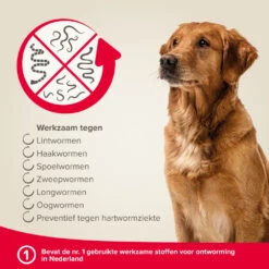 Beaphar Milquestra Ontworming Tabletten Hond 5-50kg -Plein Winkel 975809 4