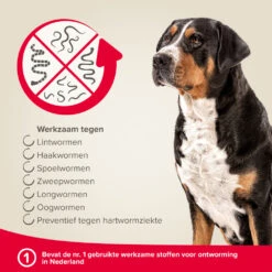 Beaphar Milquestra Ontworming Tabletten Hond 5 - 75kg -Plein Winkel 975810 4