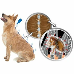 Beaphar DIMETHIcare Anti Vlooien En Teken Spray -Plein Winkel 976013 3