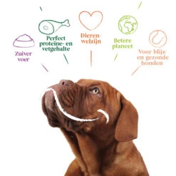 12x Yarrah Bio Hondenvoer Chunks Kip -Plein Winkel 979324 4