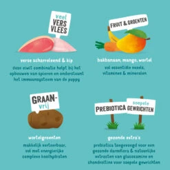 Edgard & Cooper Hondenvoer Puppy Scharrelkip - Scharreleend -Plein Winkel 993014 4