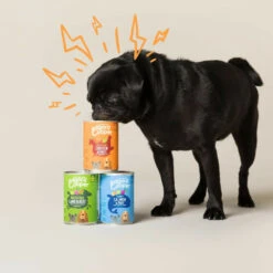 6x Edgard & Cooper Blik Vers Vlees Senior Hondenvoer Kip - Zalm -Plein Winkel 993029 3