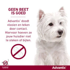 Advantix Spot On 600 Anti Vlooien En Teken Druppels Hond 40 - 60 Kg -Plein Winkel 993468 4