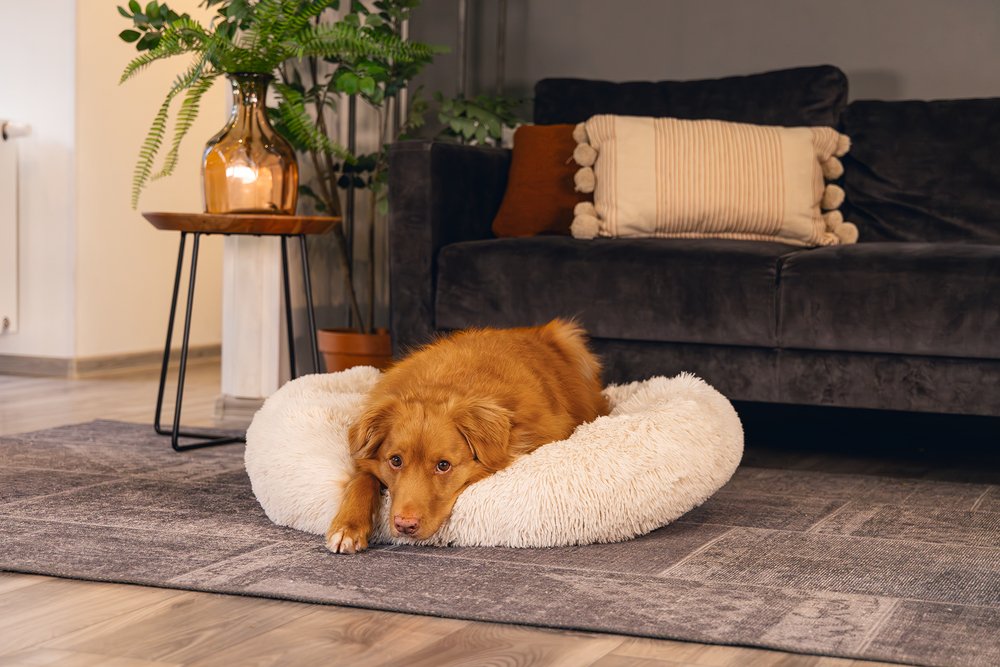 Plein Winkel -Plein Winkel Webimage 0716038 sfeer2