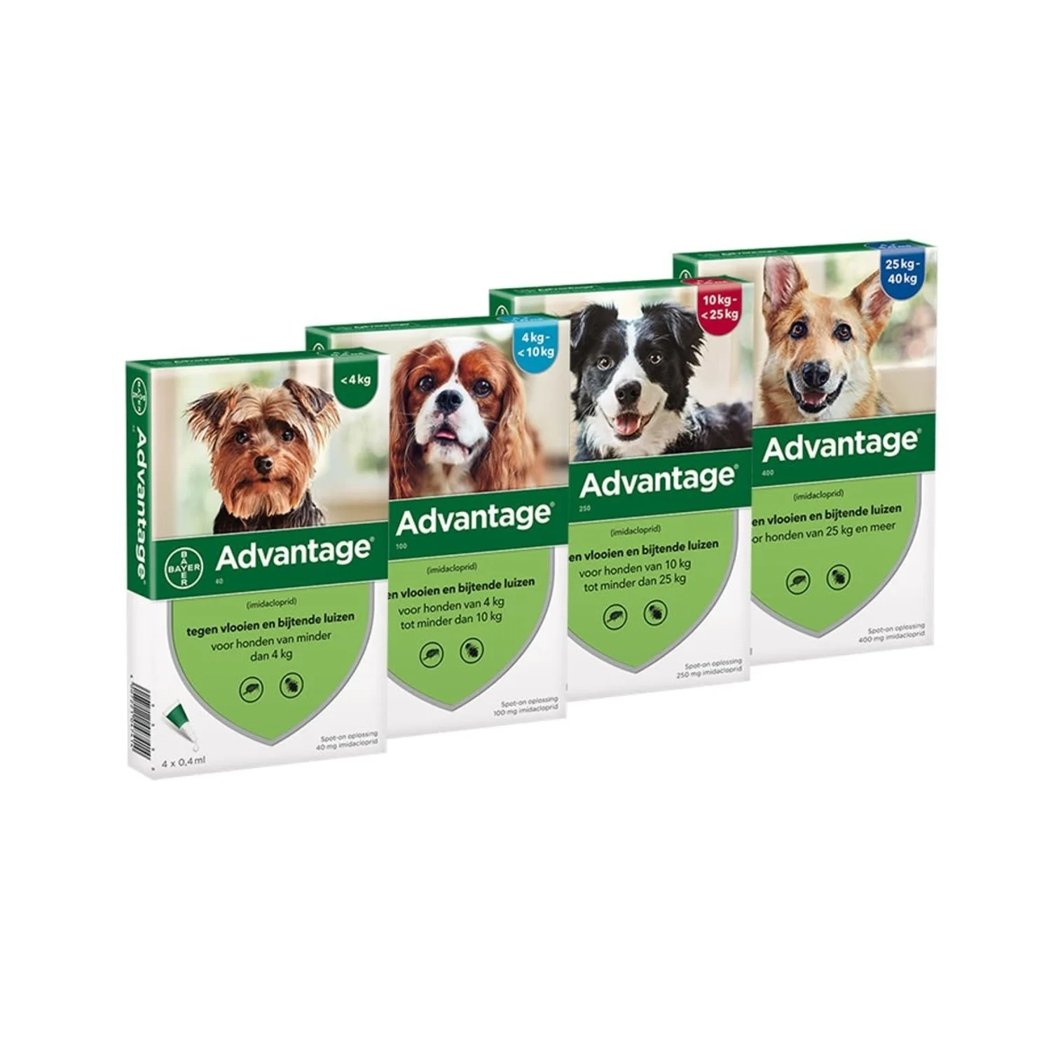 Plein Winkel -Plein Winkel elanco advantage spot on solution 4 st